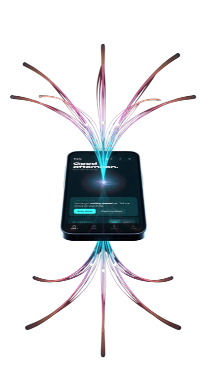 FLOLO app showing your personalized bloom and daily flow